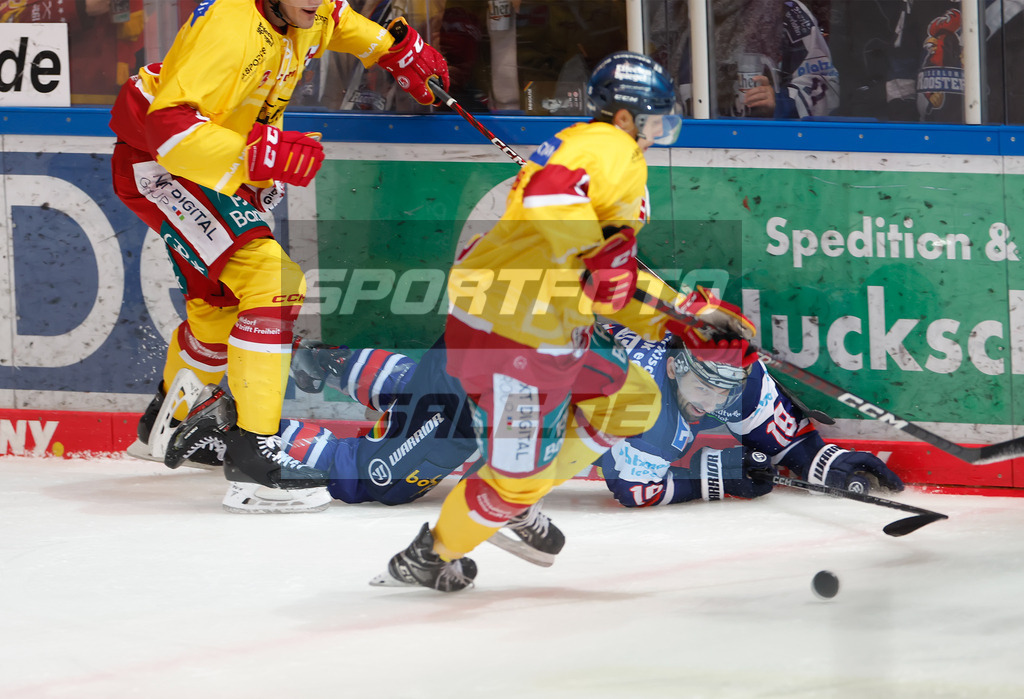 Iserlohn Roosters - Duesseldorfer EG | 
DEL: Iserlohn Roosters - Duesseldorfer EG - Realisiert mit Pictrs.com