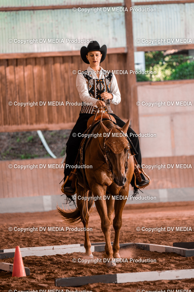 NE300182 | dv-media-shop - Realisiert mit Pictrs.com