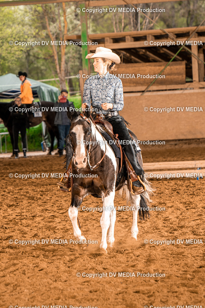 BAL00213 | dv-media-shop - Realisiert mit Pictrs.com