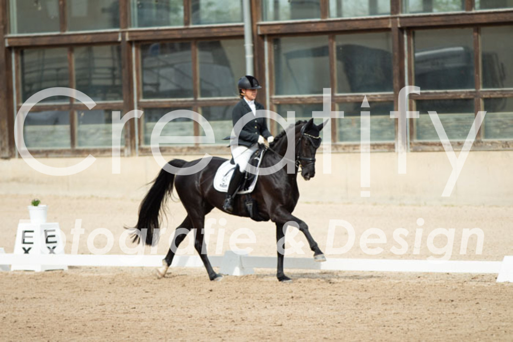 IMG_1511 | Creatify Fotografie