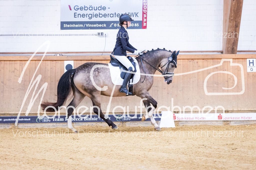 Sth-A-Dre-1St-063 | MomenTaufnahmen Pferdesportfotos