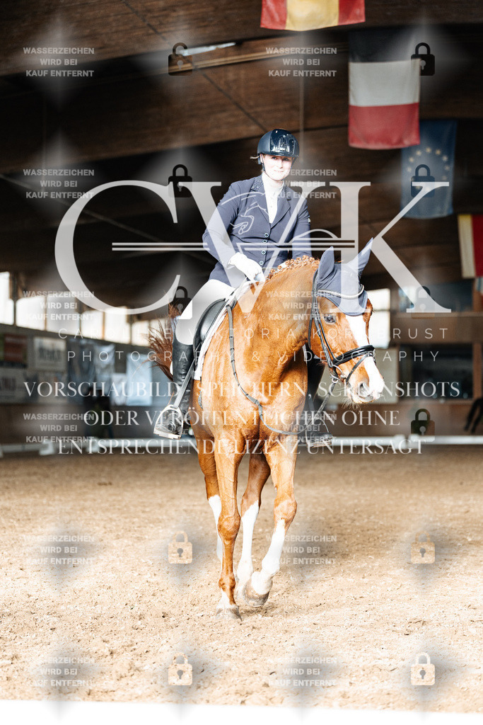 CK902833 | Turnierfotografie Pferdefotografie Trier Rheinland-Pfalz Pferdesport Reitsport Tierfotografie Sportfotografie Pferdevideo Pferdevideografie Equestrianvideography equestrianphotography  - Realisiert mit Pictrs.com