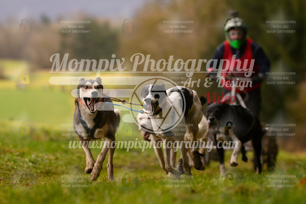 MompixPhotography_2SSTSSBW_2025_SO_Kart-31 | PayLife