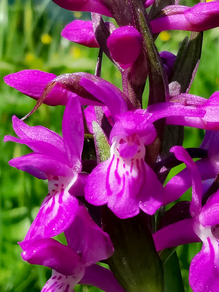 PSX_20230529_230234 | mtkfoto_ - Realisiert mit Pictrs.com