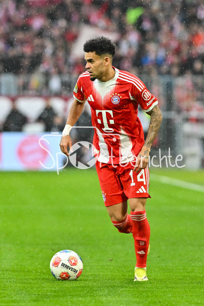 FC Bayern München - Eintracht Frankfurt | MUNICH, GERMANY - 21. FEBRUARY: am BAll Luis DIAZ (FC Bayern Munich 14) Einzelfoto / Freisteller während dem Bundesligamatch zwischen dem FC Bayern München und der SG Eintracht Frankfurt am 23. Spieltag in der Allianz Arena / DFL REGULATIONS PROHIBIT ANY USE OF PHOTOGRAPHS AS IMAGE SEQUENCES AND/OR QUASI-VIDEO