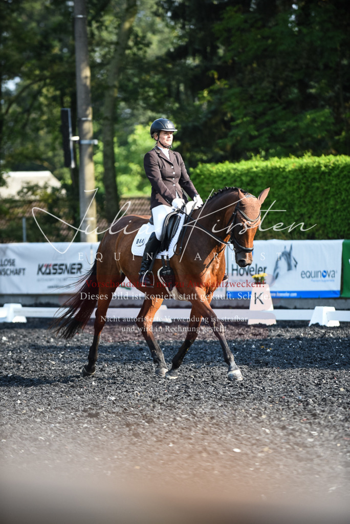DSC_3244 | Pferde- und Turnierfotografie in Westsachsen. Pferdeportraits, Auftragszeichnungen und intuitive Kunst.