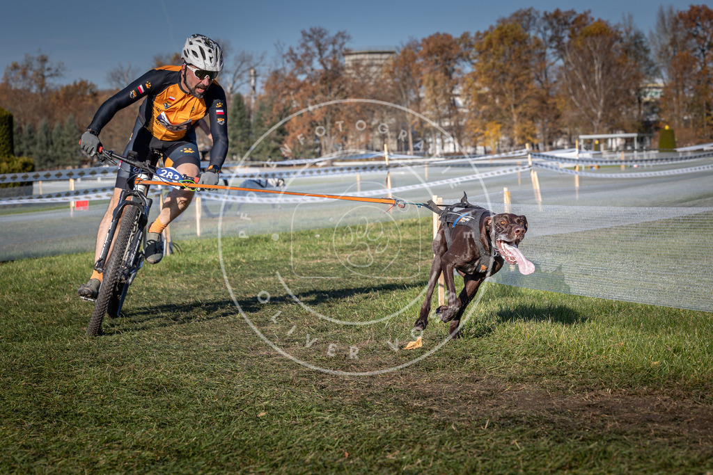 CaniXpix_0L8A5281 | Hundefotografie, Tierfotograf, Pfotenfotografie, Fotoshooting Hund, Hunde Portrait, Hundesport, Hundeportraits, Heideshooting, Hunde, Sportfotograf, Hundefotograf, Turnierhundsport, THS,  - Realisiert mit Pictrs.com