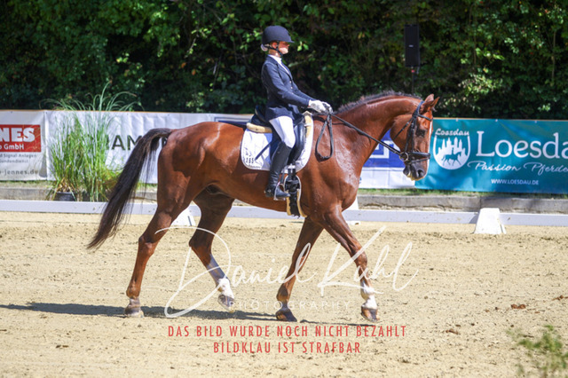 DKP42032 | Turniersportfotografie; Pferdefotografie; Dressurfotografie