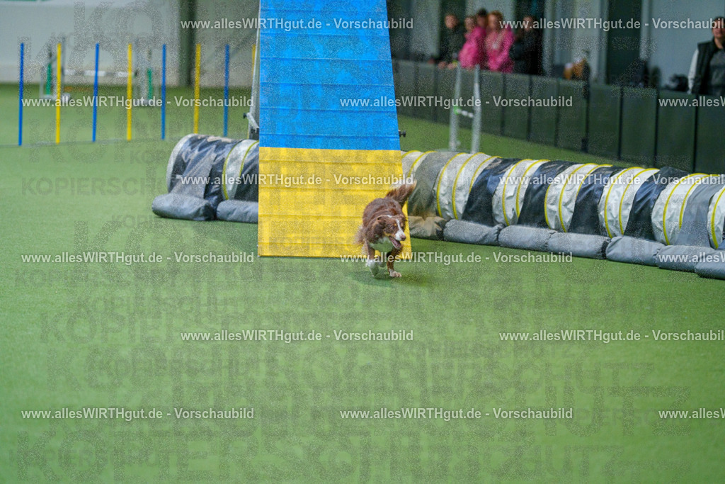 @allesWIRTHgut_Tierfotografie - www.allesWIRTHgut.de - 2604250810-7R505580 | Professionelle Tierfotografie in Mönchengladbach von Daniel Wirth (allesWIRTHgut). Liebevolle & natürliche Bilder von Hunden & Katzen für unvergessliche Erinnerungen.