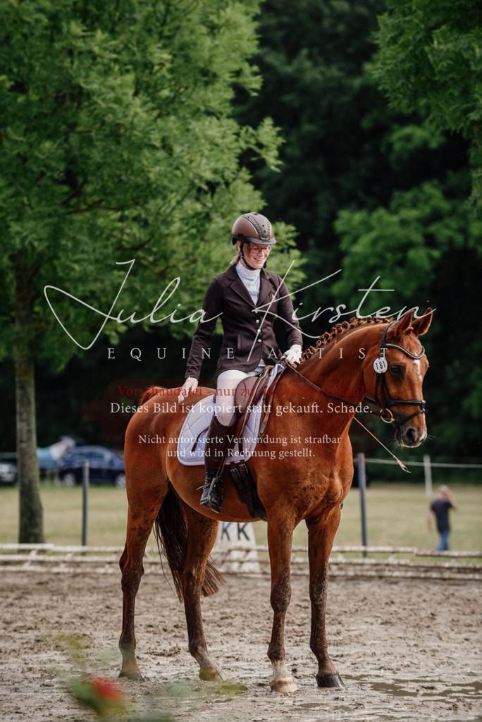 DSC_9662 | Pferde- und Turnierfotografie in Westsachsen. Pferdeportraits, Auftragszeichnungen und intuitive Kunst.