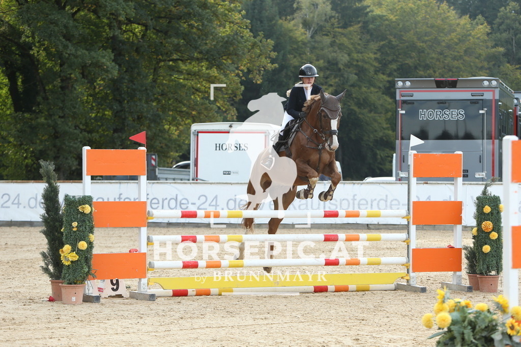 DL2Q7325 | Willkommen bei Brunnmayr - Design & Fotografie – Ihrem Spezialisten für Reitturniere und Pferdeveranstaltungen in Oberösterreich, Salzburg und Bayern! Seit über 17 Jahren sind wir leidenschaftlich dabei.