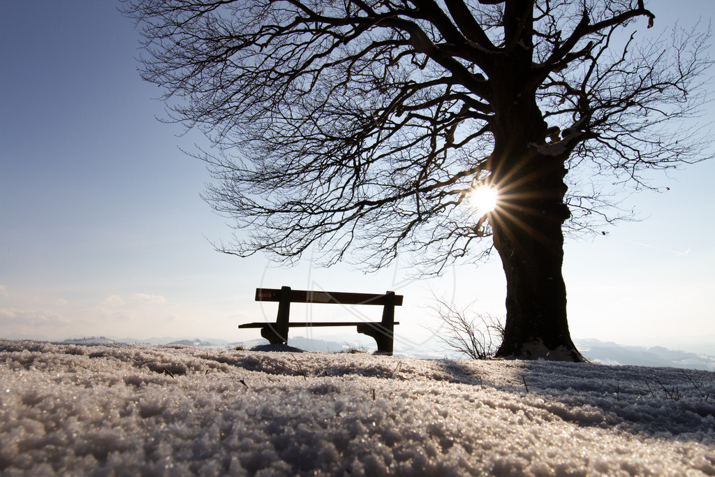 Winterbankerl | Bei Veröffentlichung des Bildes ist eine Namensnennung wie folgt erforderlich: 
Foto: Mostdirn Irmgard Wieser - Realisiert mit Pictrs.com