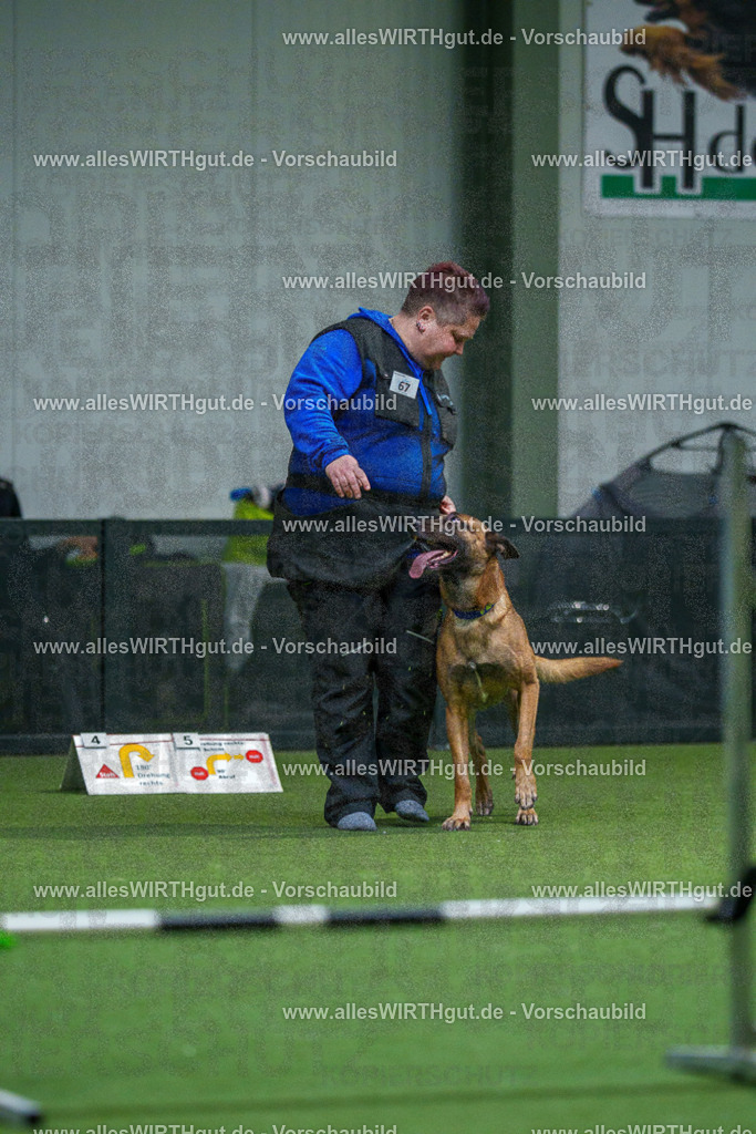 7R503715 | Professionelle Tierfotografie in Mönchengladbach von Daniel Wirth (allesWIRTHgut). Liebevolle & natürliche Bilder von Hunden & Katzen für unvergessliche Erinnerungen.