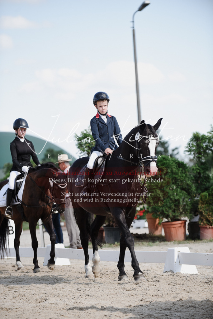 DSC_0016 | Pferde- und Turnierfotografie in Westsachsen. Pferdeportraits, Auftragszeichnungen und intuitive Kunst.