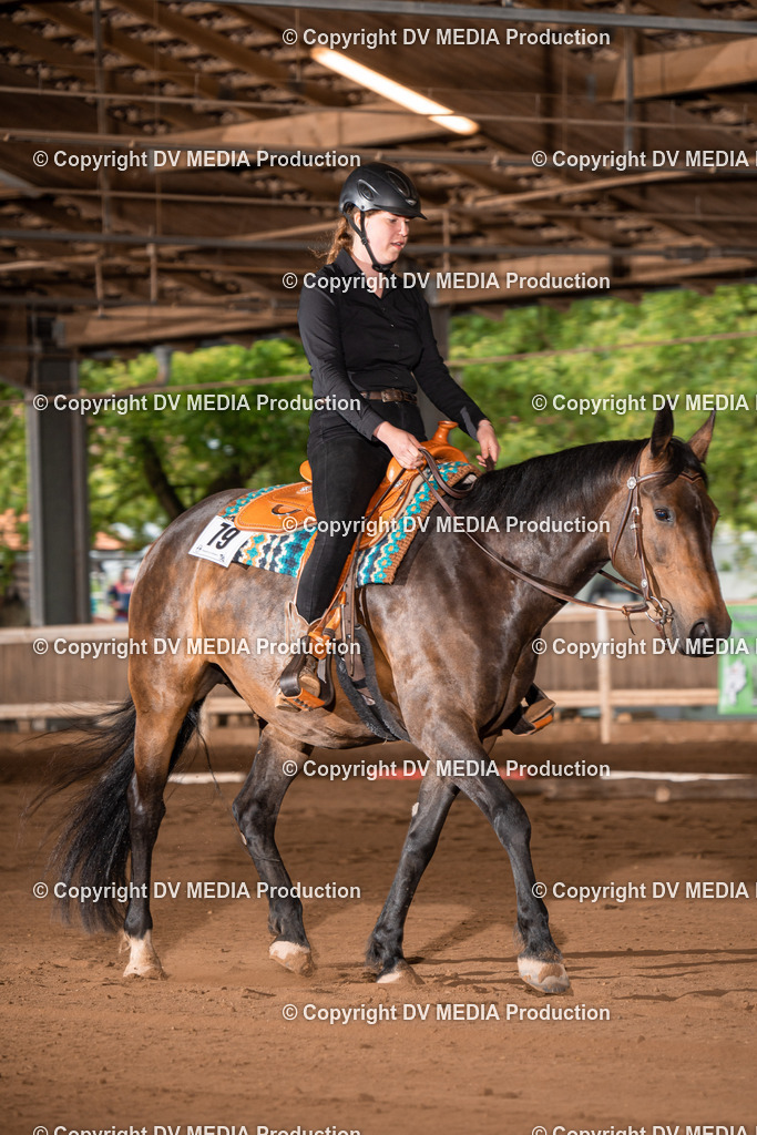 Erbach Tag 2-351 | dv-media-shop - Realisiert mit Pictrs.com