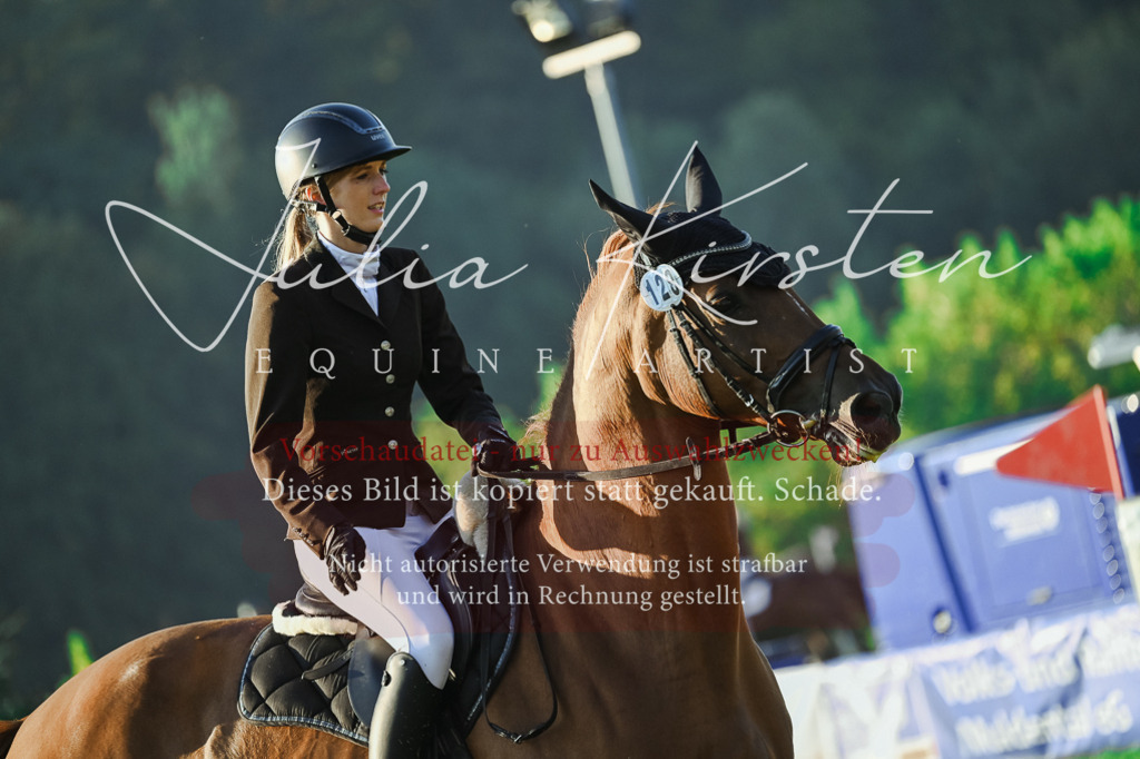 DSC_3922 | Pferde- und Turnierfotografie in Westsachsen. Pferdeportraits, Auftragszeichnungen und intuitive Kunst.