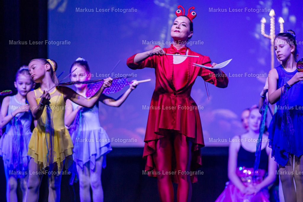 mlBallettSaNachm-8798 | Markus Leser Fotografie - Realisiert mit Pictrs.com