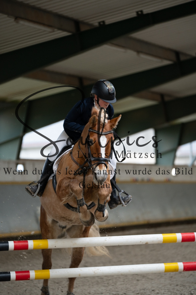 A7V04267 | Pferdefotograf