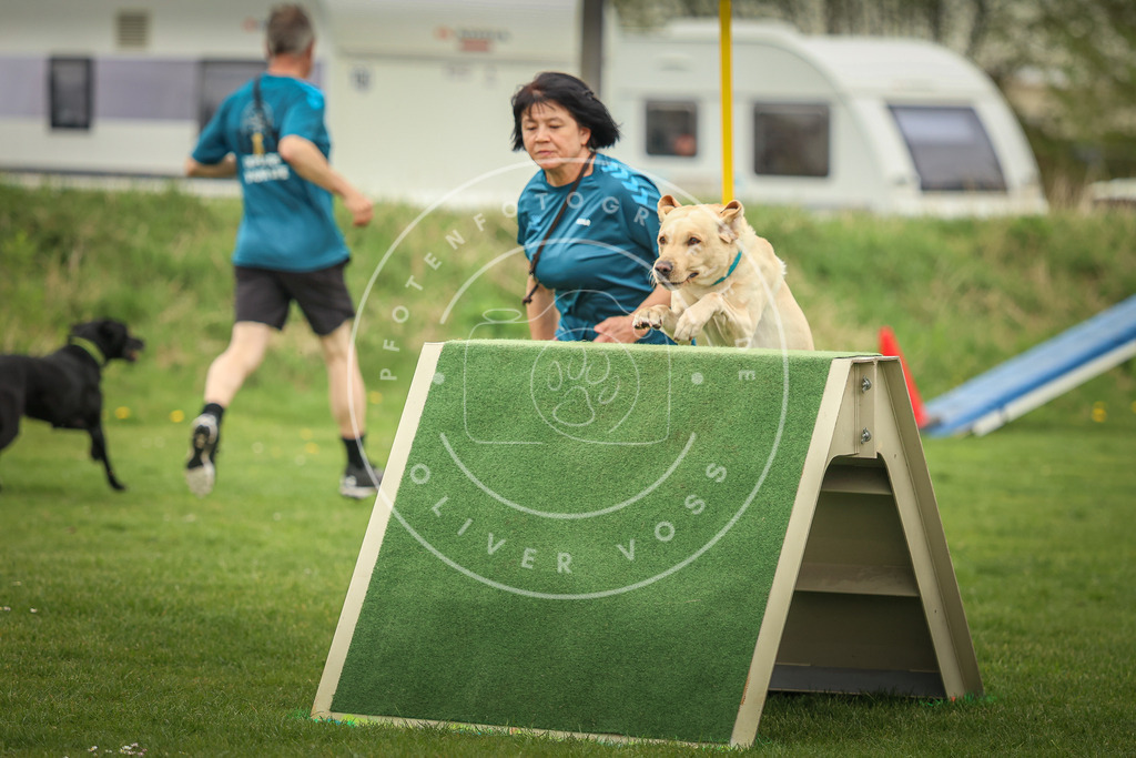 Pfotenfotografie_0L8A0668 | Hundefotografie, Tierfotograf, Pfotenfotografie, Fotoshooting Hund, Hunde Portrait, Hundesport, Hundeportraits, Heideshooting, Hunde, Sportfotograf, Hundefotograf, Turnierhundsport, THS,  - Realisiert mit Pictrs.com