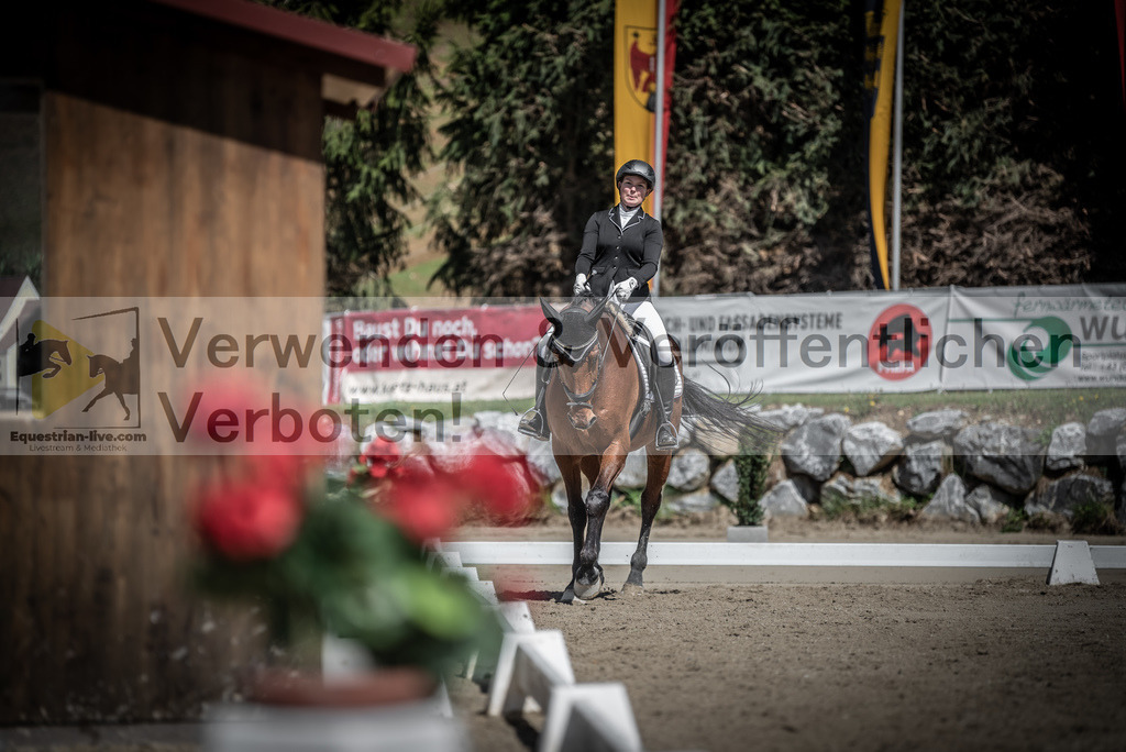 DSC_0463 | equestrian-live-com