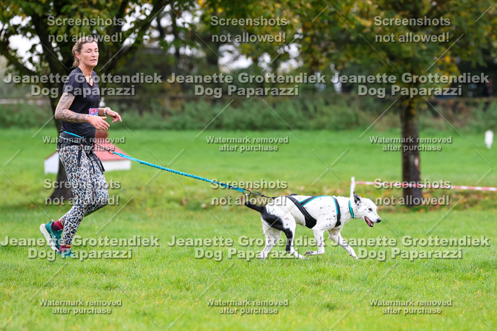Dog Paparazzi -  SD1026-1035 | Dog Paparazzi Jeanette Grottendiek Fotografie & Videografie - Realisiert mit Pictrs.com