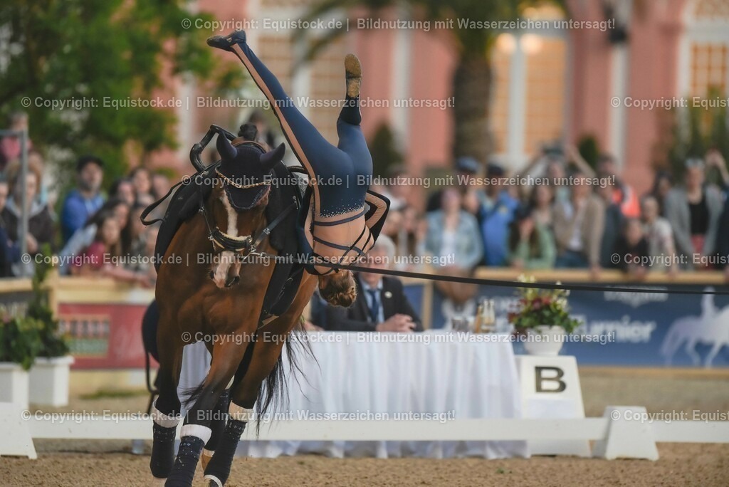 20230527_Voltigieren_NASPA_Flutlicht_0265 | equistock