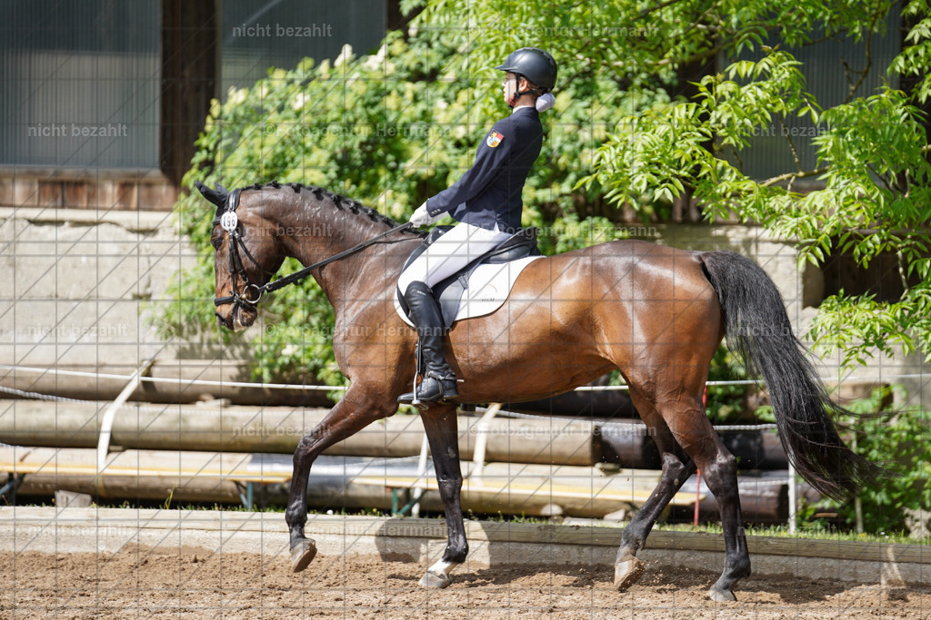 20240519-FAH04967 | Turnierbilder Niederseeon 2024, Vielseitigkeitsdressur, Reitsportbilder aus dem Landkreit Ebersberg, Gut Steinsee, RC Steinsee, Fotoagentur Herrmann