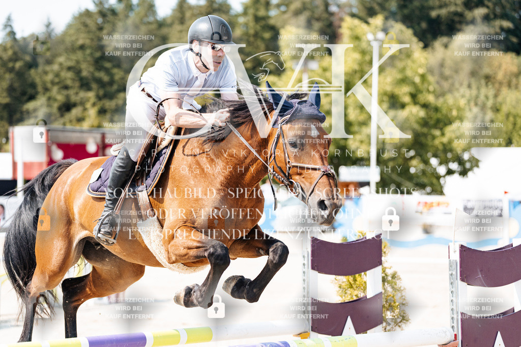 CK902023 | Turnierfotografie Pferdefotografie Trier Rheinland-Pfalz Pferdesport Reitsport Tierfotografie Sportfotografie Pferdevideo Pferdevideografie Equestrianvideography equestrianphotography  - Realisiert mit Pictrs.com