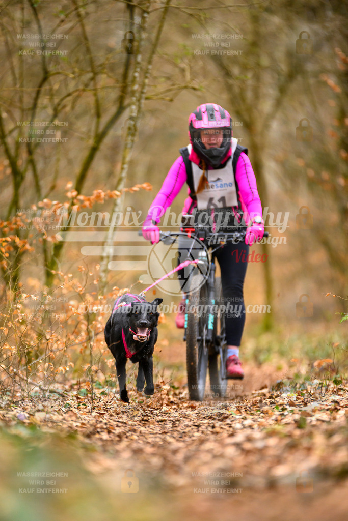 MompixPhotography_ReiatRennen2024_SO_Bike1H-104 | PayLife