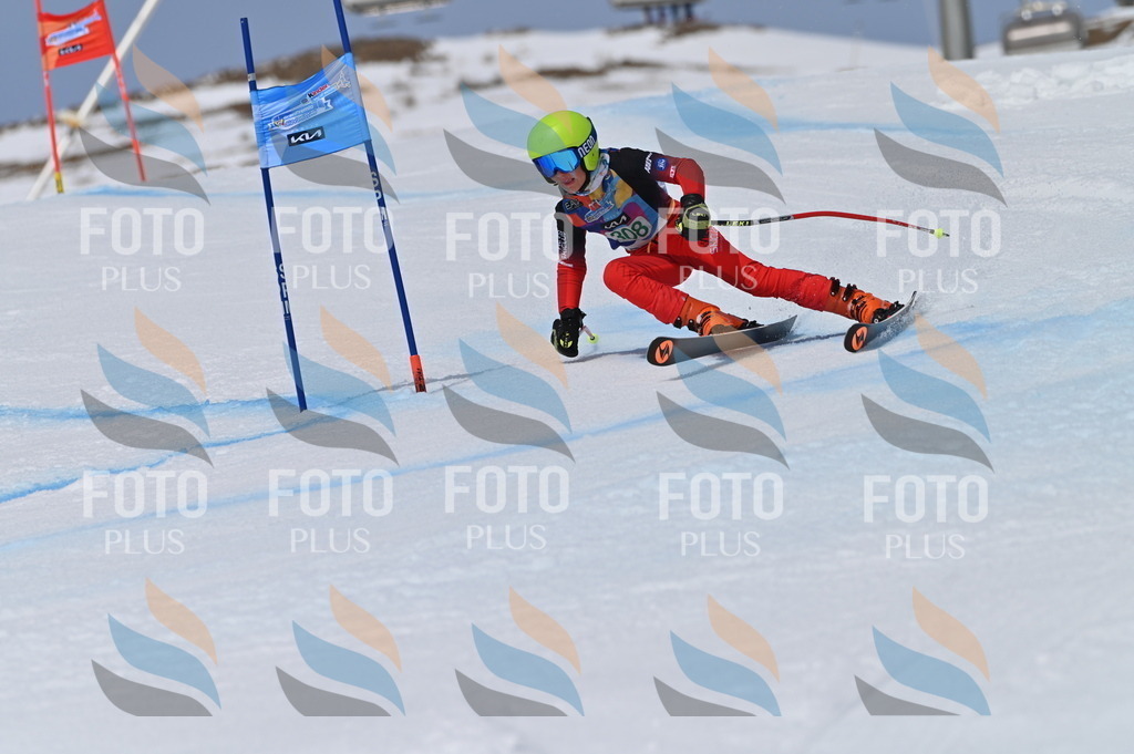 BGV_6104 | holidayphoto