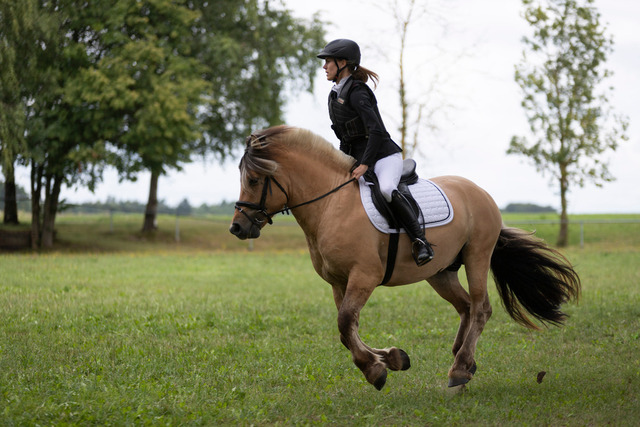 IMG_9059 | normansfotografie - Realisiert mit Pictrs.com