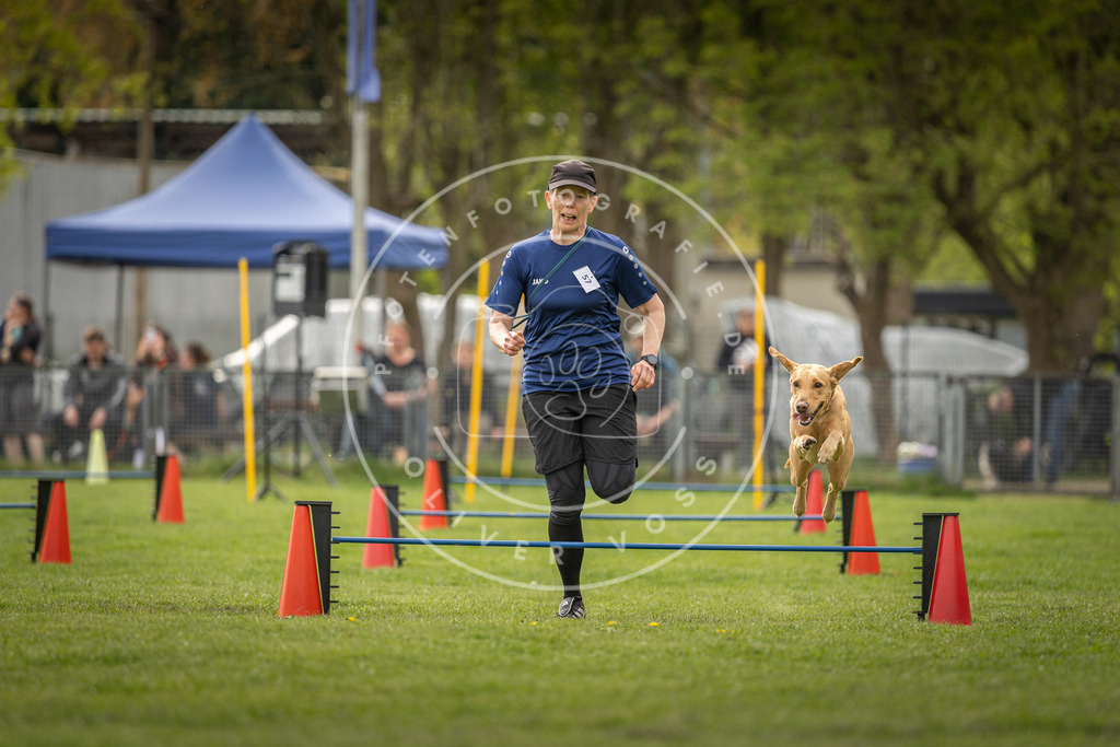Pfotenfotografie_DV3A6314 | Hundefotografie, Tierfotograf, Pfotenfotografie, Fotoshooting Hund, Hunde Portrait, Hundesport, Hundeportraits, Heideshooting, Hunde, Sportfotograf, Hundefotograf, Turnierhundsport, THS,  - Realisiert mit Pictrs.com