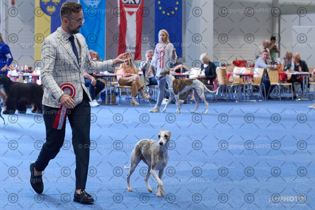 202406_ÖKV-IHA-Tulln24_DSC_5233 | proPHOTO - Realisiert mit Pictrs.com