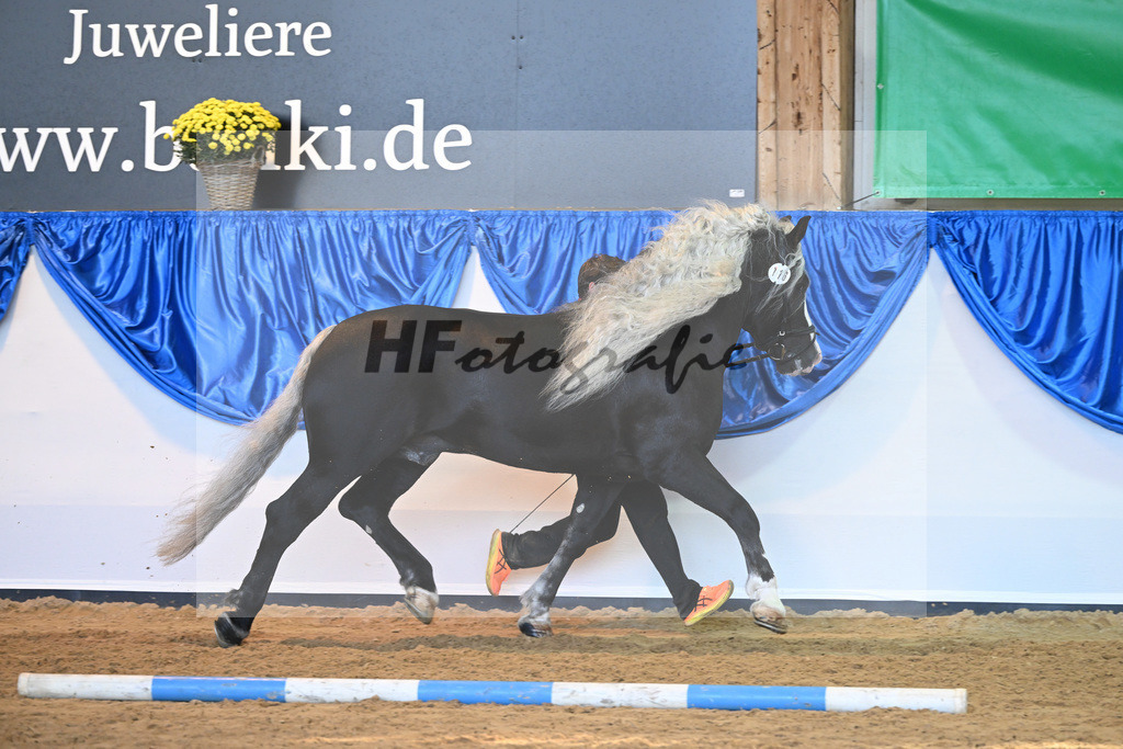 Kat-Nr. 116 Von Baden_Finsterwald_53220834 | hf-fotografie - Realizzato con Pictrs.com