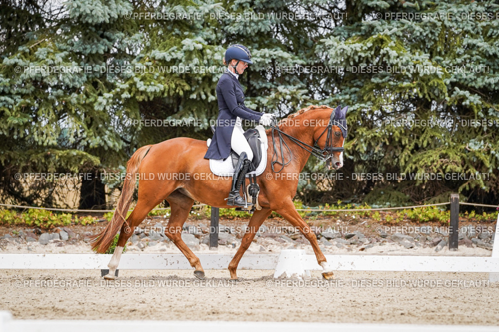 DSC06130 | Pferdegrafie