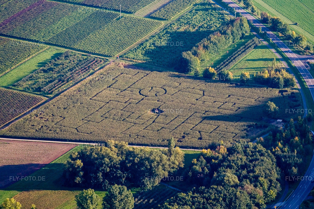 Luftbild: Maislabyrinth in Göcklingen im Bundesland Rheinland-Pfalz in Deutschland. Foto: IMG_13695.jpg vom 28.09.2008 durch Werner Riehm/FLY-FOTO.de