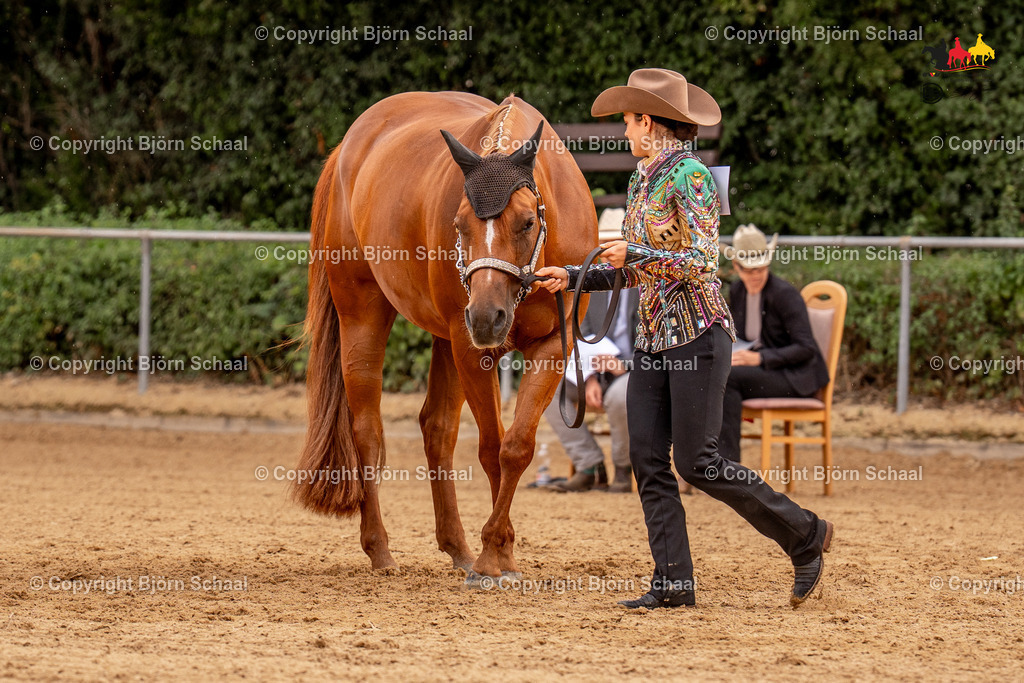 LMS06749 | BS-foto