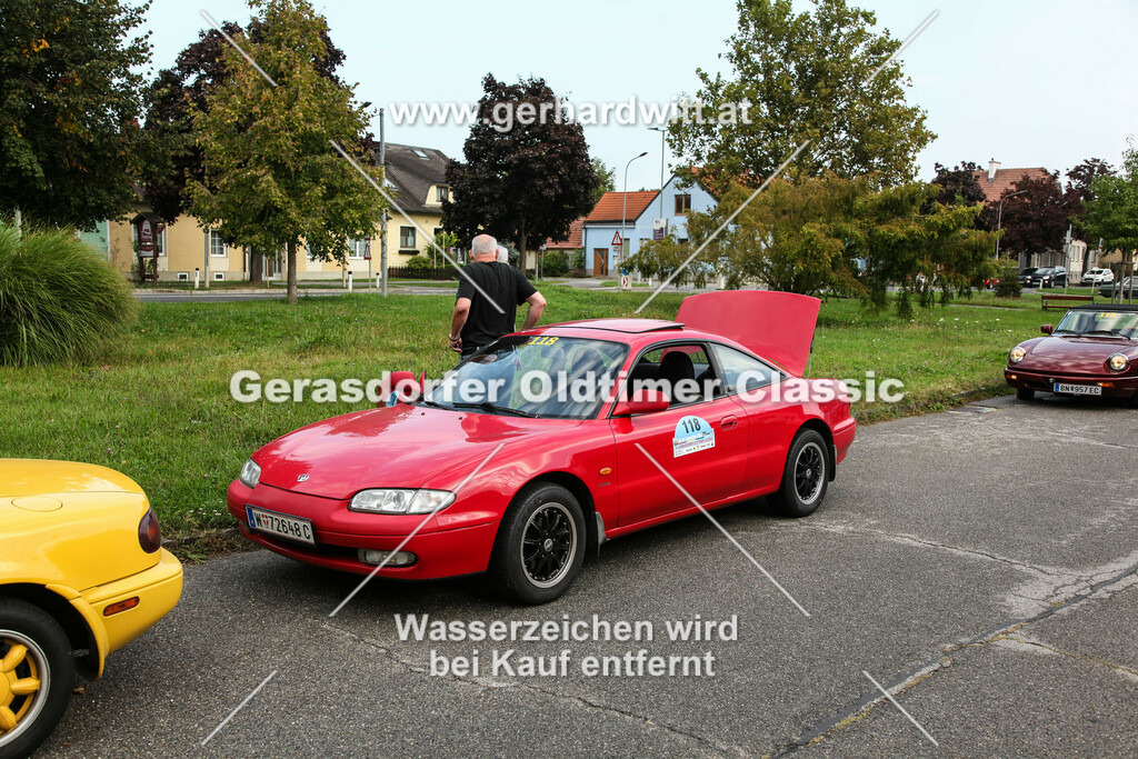 IMG_4520 | Gerhard Witt