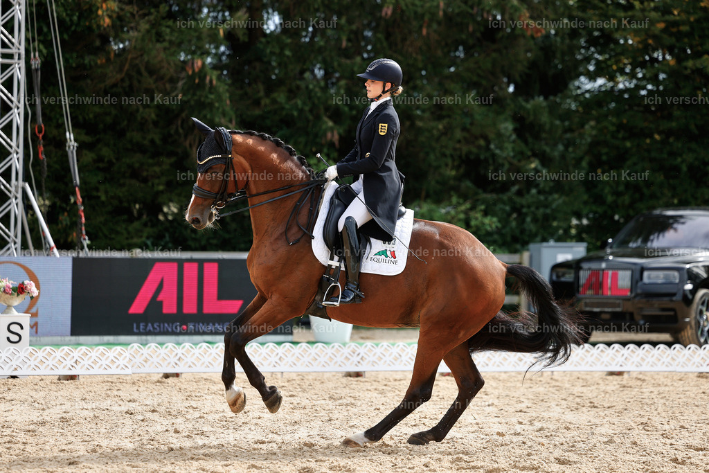 11-003-Dressur S___-StoibPH-1079 | working equitationturnier fotograf videograf stoibphotography marixx film working equitation deutschland reitsport turnierfotografie eventfotografie equestrian events