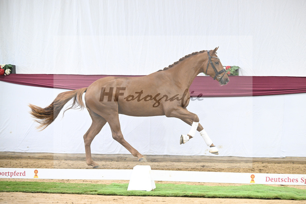 Kat-Nr. 122 Fynch Hatton x De Niro_Wolfgang Reich_47253619 | hf-fotografie - Realisiert mit Pictrs.com