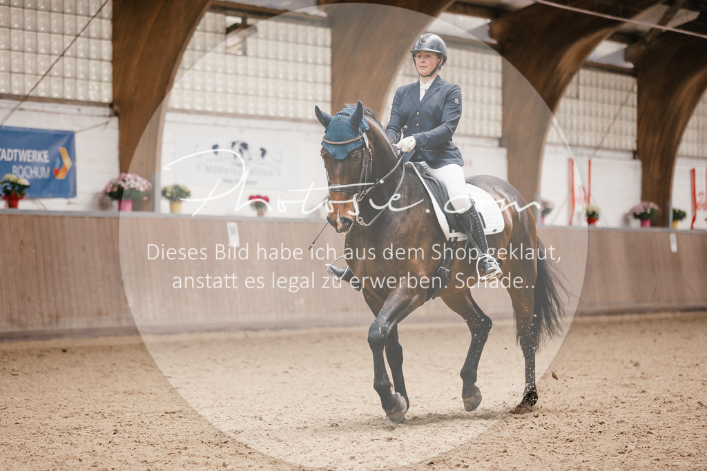 3I6A8473 | Stimmungsvolle Portraits und Reitsportfotografie im Ruhrgebiet und im Münsterland.

Pferdefotografie, Hundefotografie, Tierfotografie, Reportagen, Portraits von Tier und Mensch, Turnierfotografie in Bochum, Recklinghausen, Marl, Haltern am See, Dülmen.. - Realisiert mit Pictrs.com