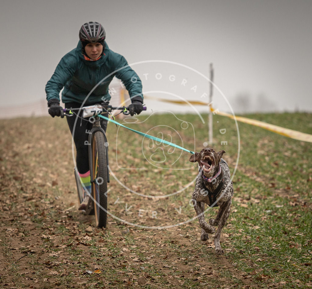 Pfotenfotografie_DV3A3554 | Hundefotografie, Tierfotograf, Pfotenfotografie, Fotoshooting Hund, Hunde Portrait, Hundesport, Hundeportraits, Heideshooting, Hunde, Sportfotograf, Hundefotograf, Turnierhundsport, THS,  - Realisiert mit Pictrs.com