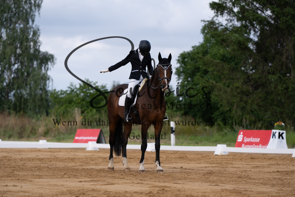 A7V05174 | Pferdefotograf