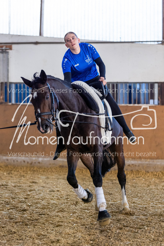 VTD-Voltigierpferde-038 | MomenTaufnahmen Pferdesportfotos