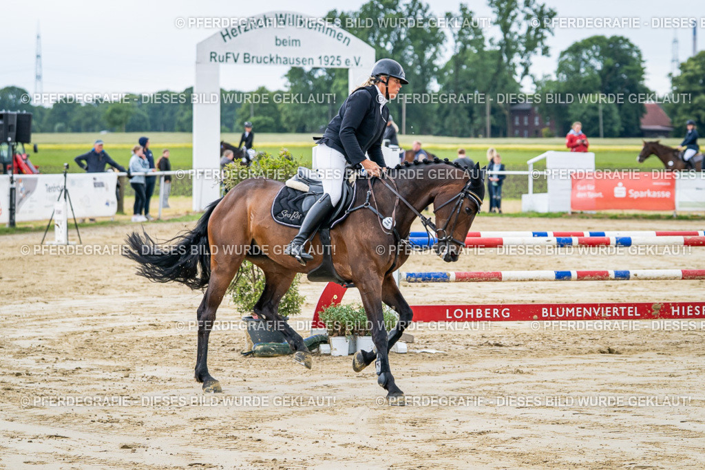 DSC04215 | Pferdegrafie