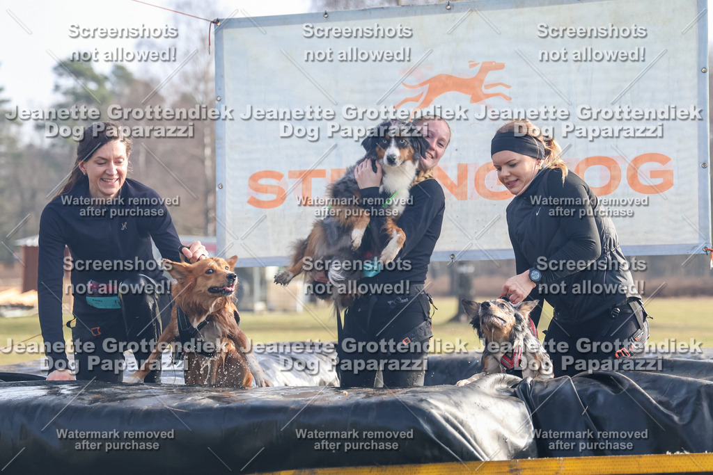 Dog Paparazzi - Strongdog North Mrz26-295 | Dog Paparazzi Jeanette Grottendiek Fotografie & Videografie - Realisiert mit Pictrs.com