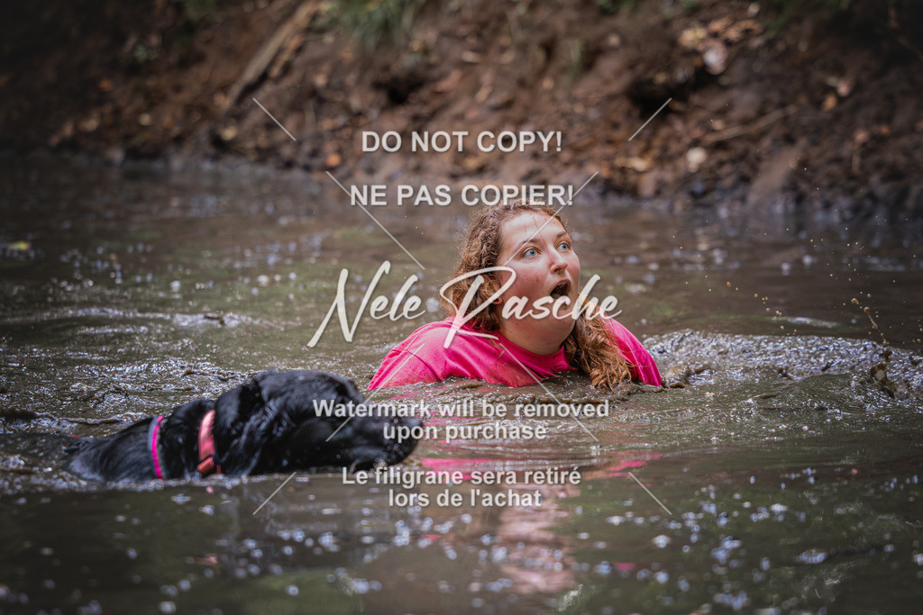 nelerasche_SaWingst1300-1400_374 | nelerasche
