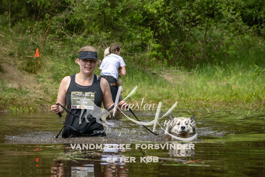 1241DKK993276 | kk-dogfotos