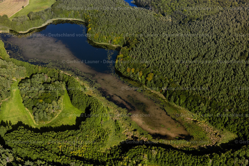 4062375 | ZECHLINERHüTTE 08.09.2021 Waldgebiete am Ufer des See " Großer Heegesee " in Zechlinerhütte im Bundesland Brandenburg, Deutschland. // Forests on the shores of Lake " Grosser Heegesee " in Zechlinerhuette in the state Brandenburg, Germany. Foto: Gerhard Launer