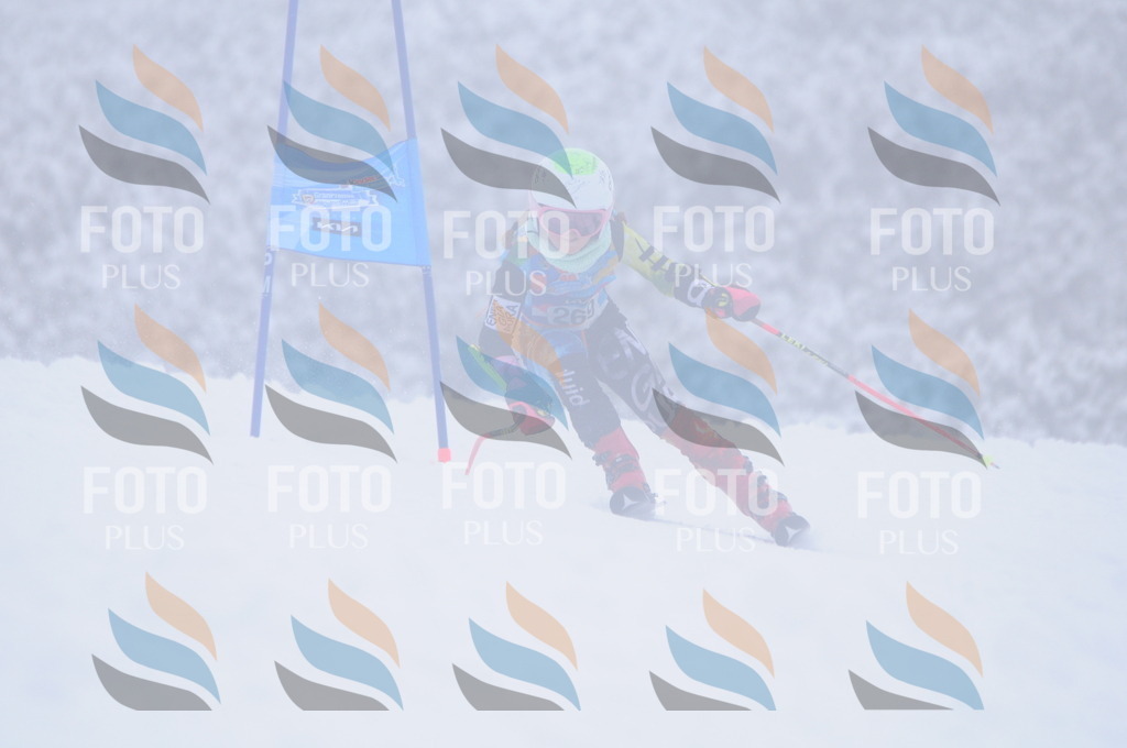 C2818 | holidayphoto